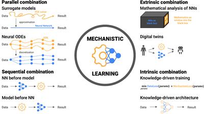A review of mechanistic learning in <mark class="highlighted">mathematical oncology</mark>